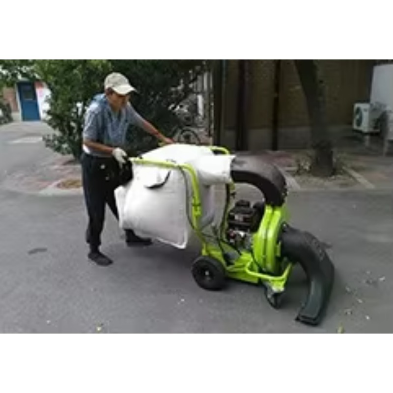 Промышленный двухтактный пылес – обзор и цена Golf Equipment Industry
