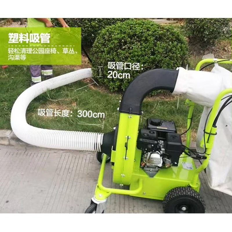 Промышленный двухтактный пылес – обзор и цена Golf Equipment Industry